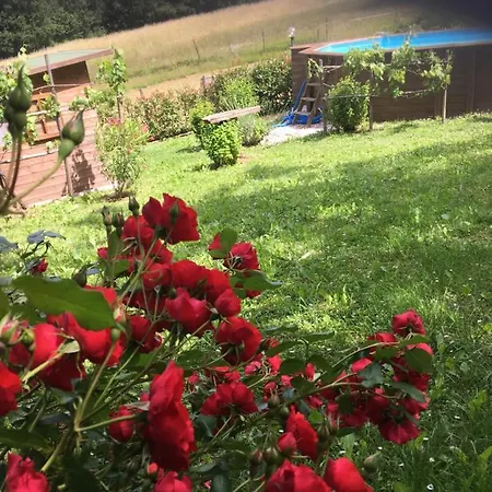 Bed and breakfast Il Mugello