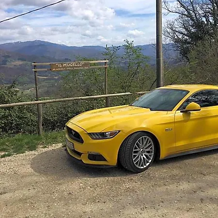 לינה וארוחת בוקר Il Mugello ויקיו