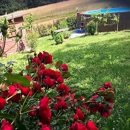 Il Mugello לינה וארוחת בוקר ויקיו
