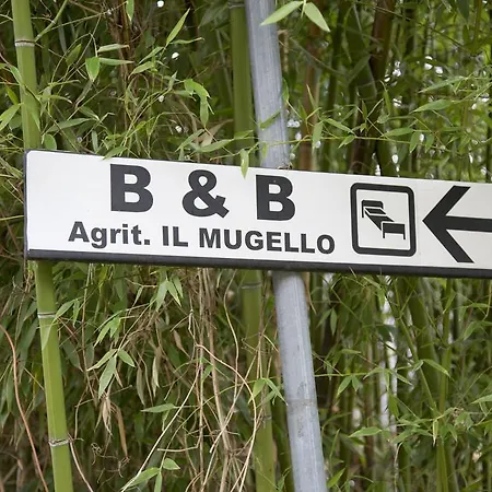 فندق مبيت وإفطار Il Mugello